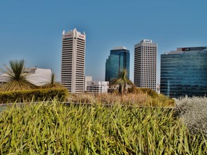 Low grass on a rooftop garden overlooking Perth in WA