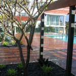 Claremont pool garden design