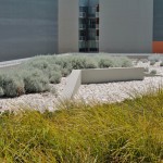 One40William Green Roof