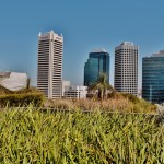 Low grass on a rooftop garden overlooking Perth in WA