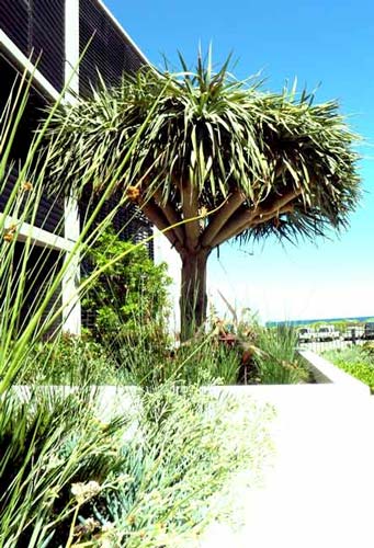 Winner Leighton Beachside Apartments